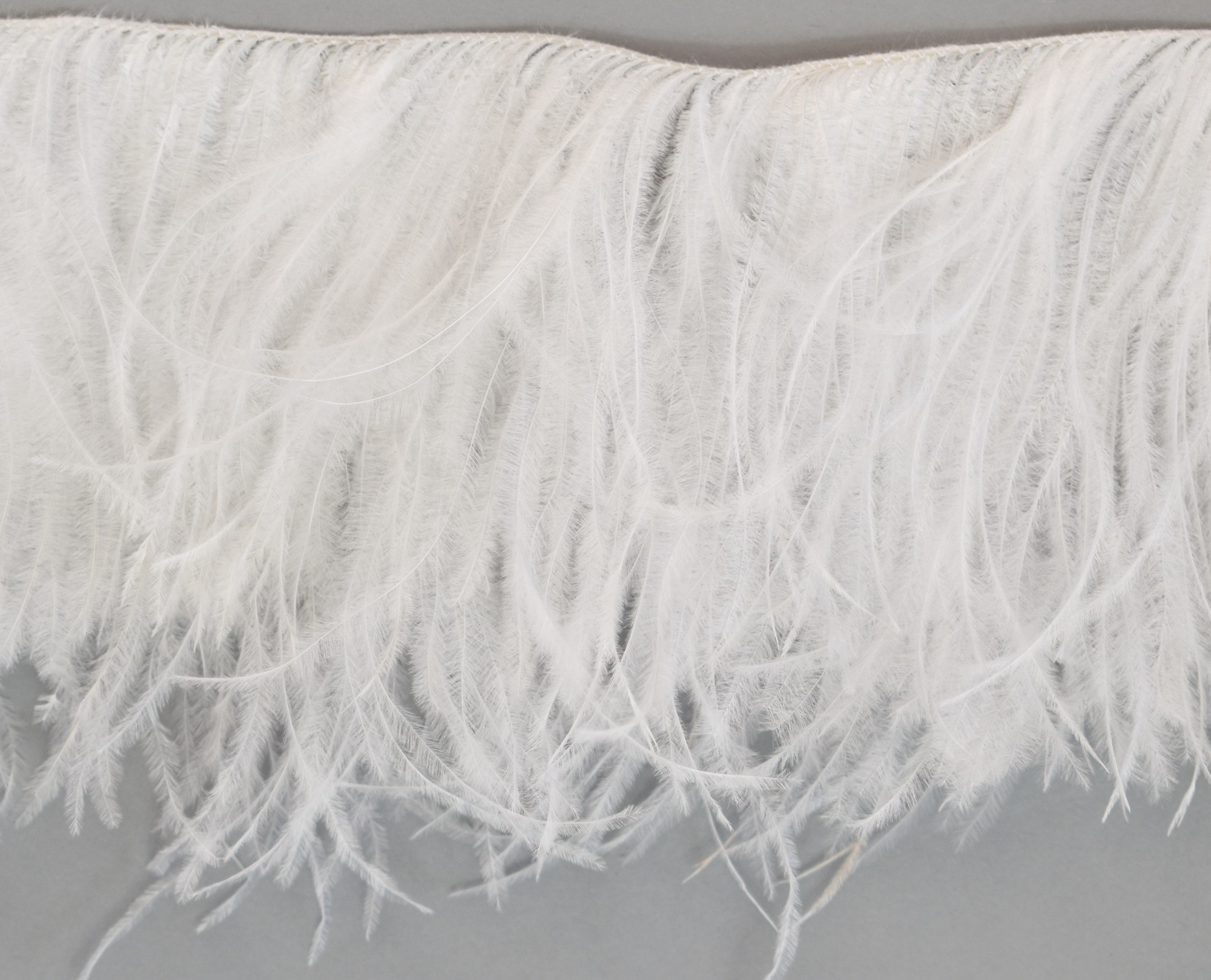 Feather fringe ostrich feathers - Ernessa